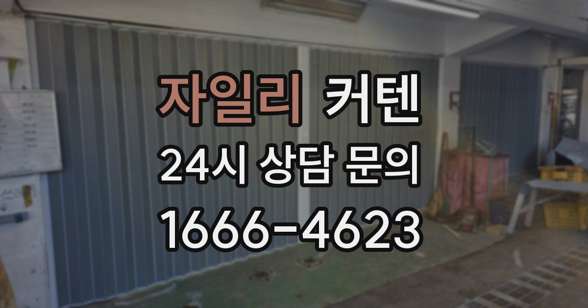 자일리 커텐