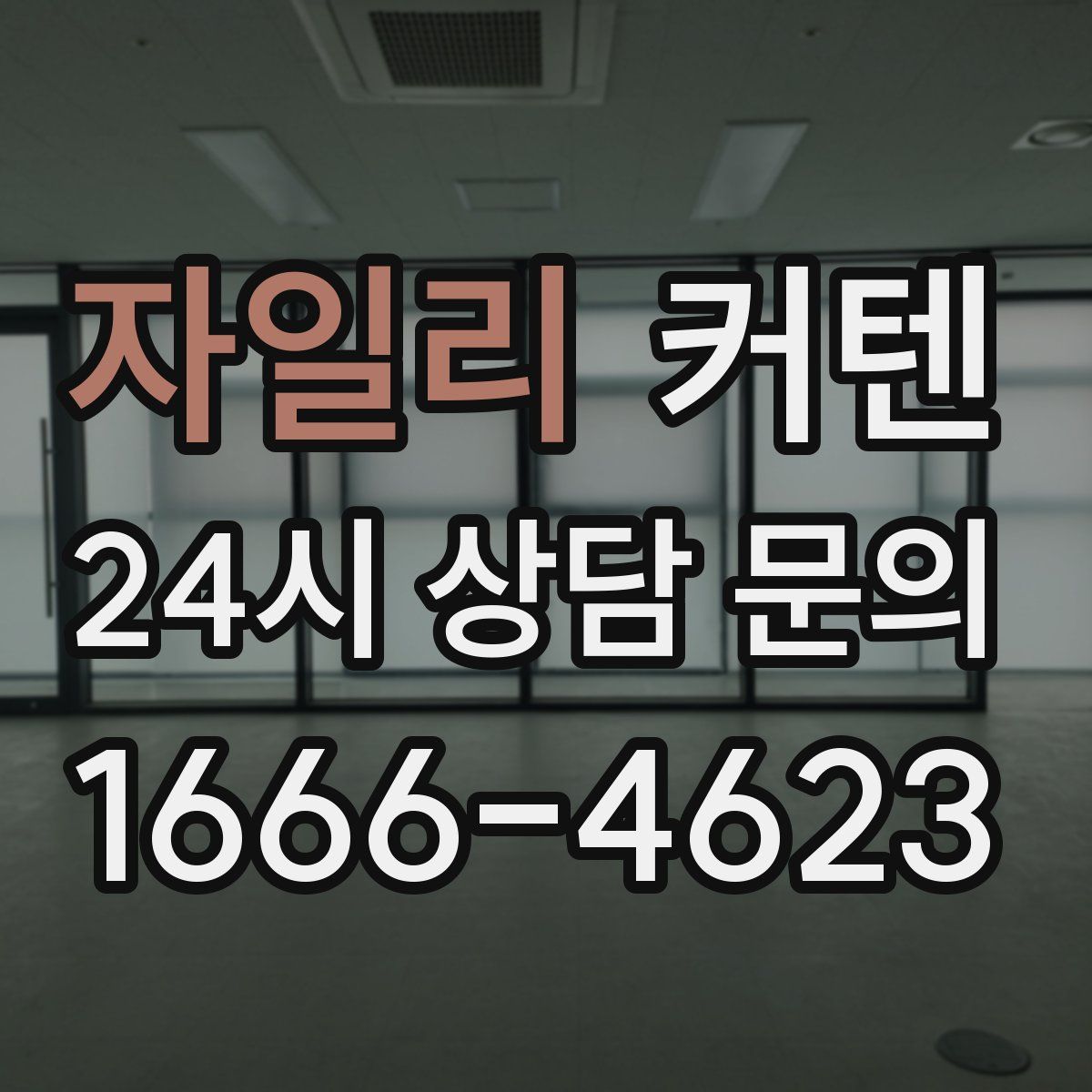 자일리 커텐