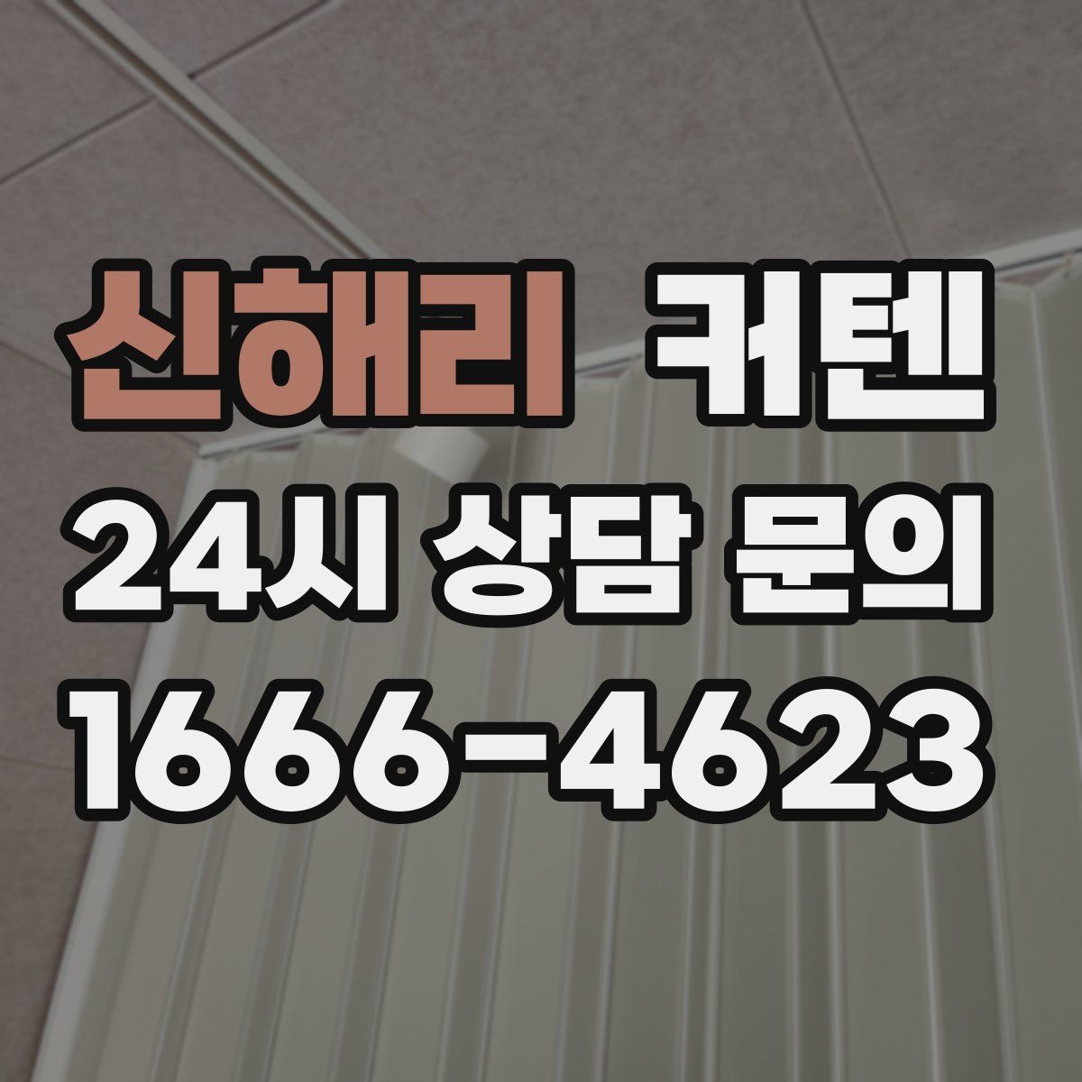 신해리 커텐