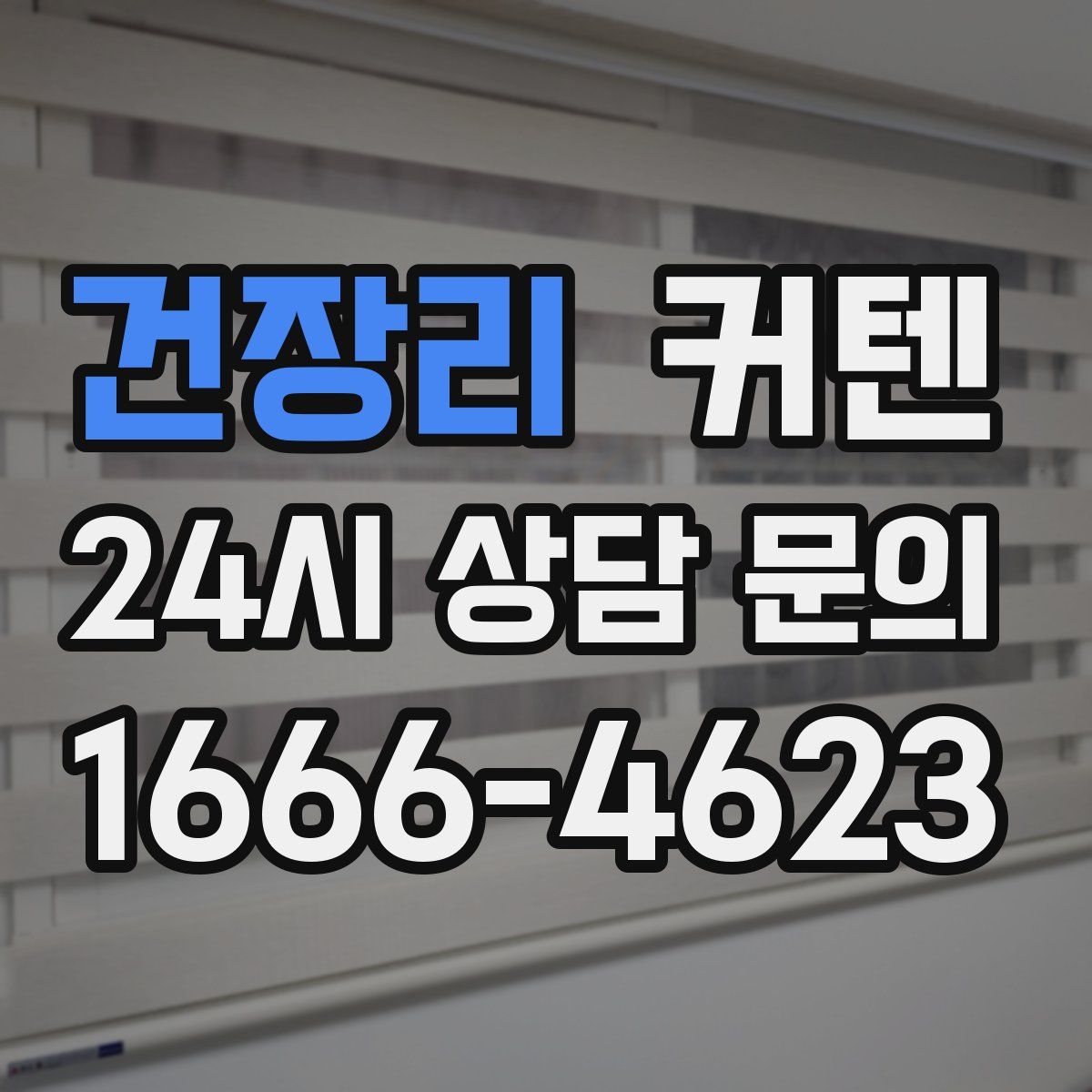 건장리 커텐