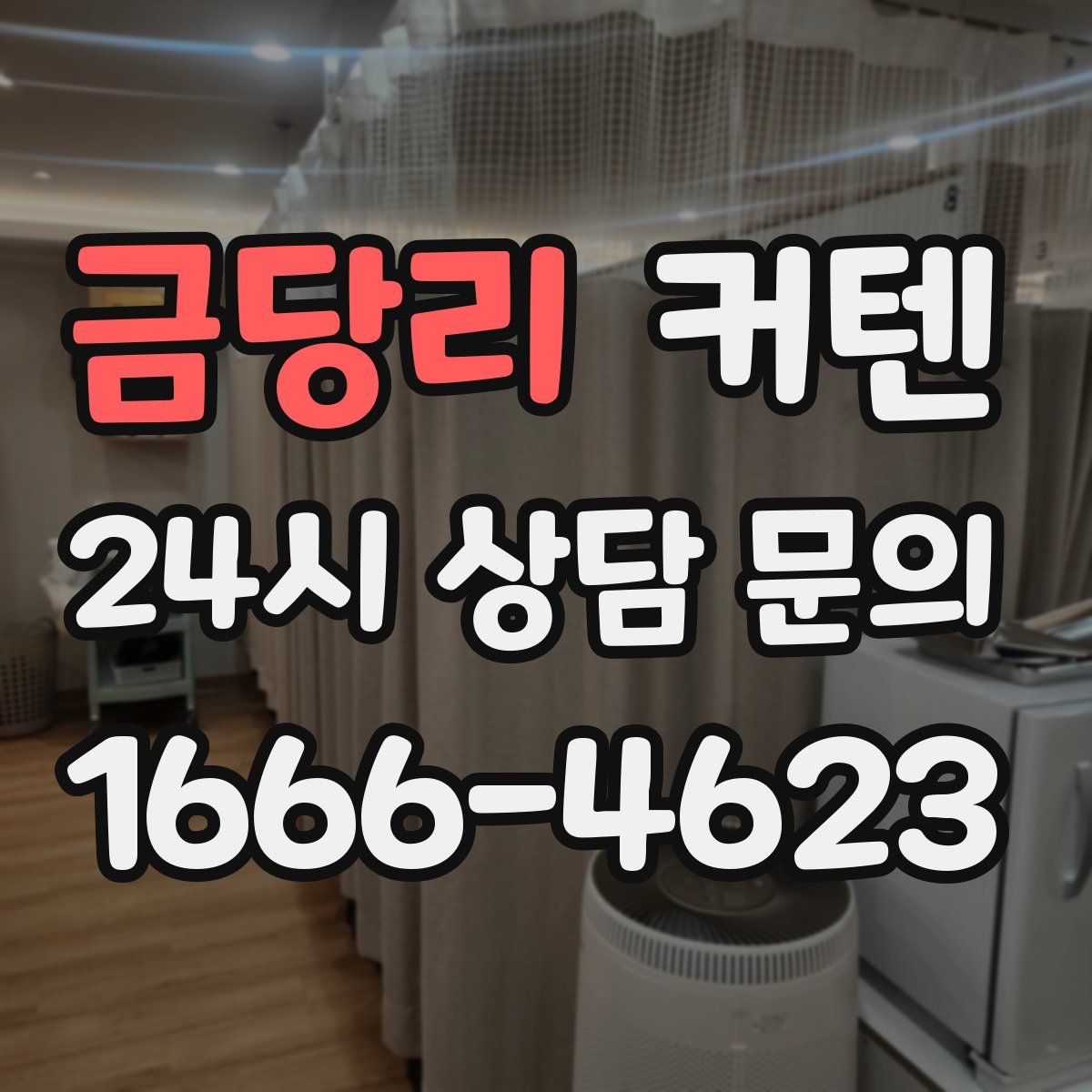 금당리 커텐