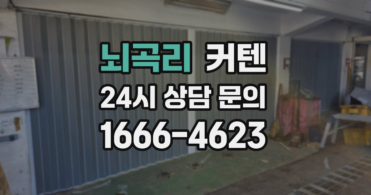 뇌곡리 커텐