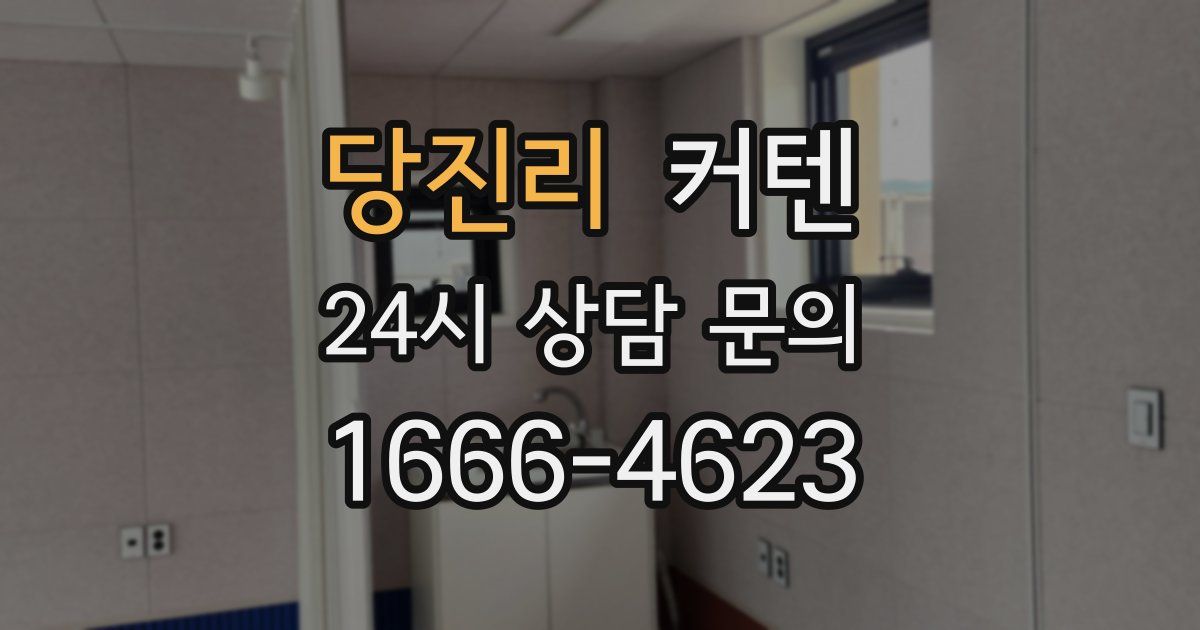 당진리 커텐