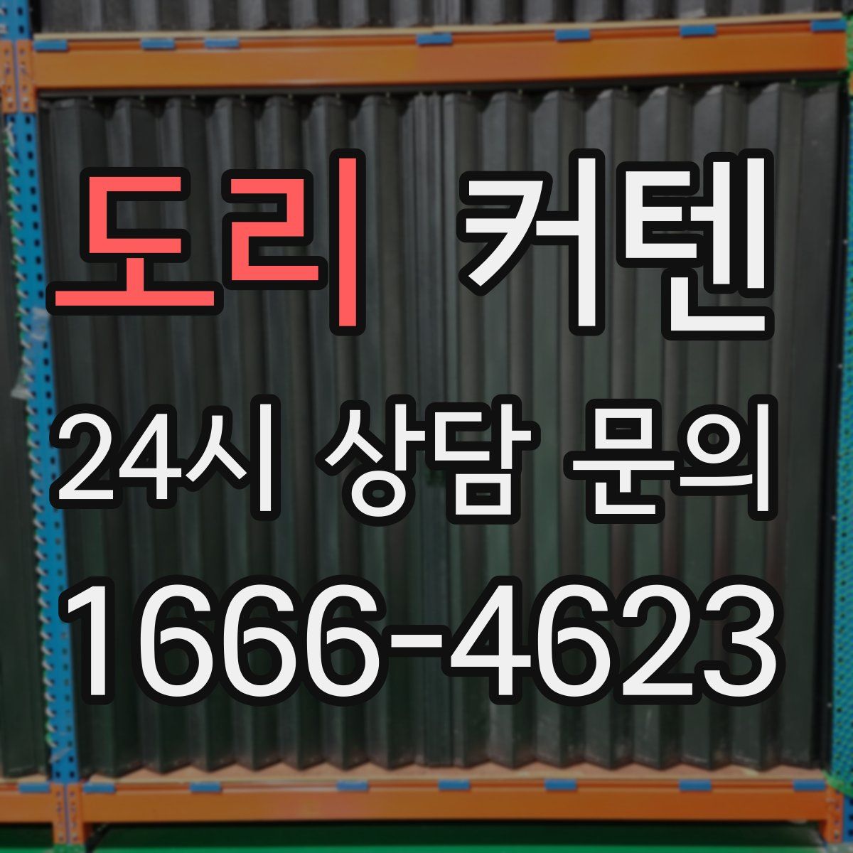 도리 커텐