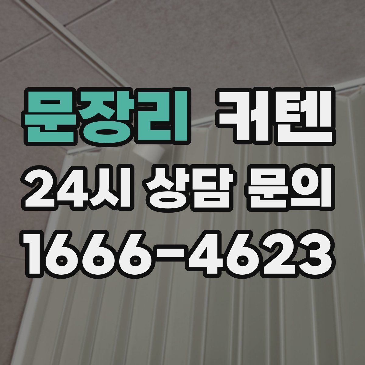 문장리 커텐
