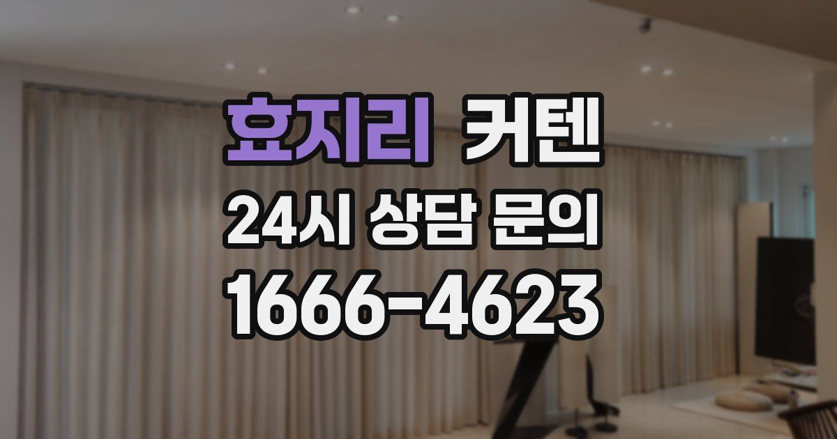 효지리 커텐
