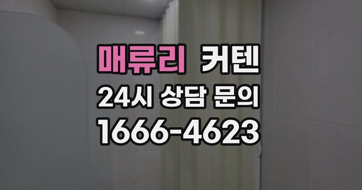 매류리 커텐