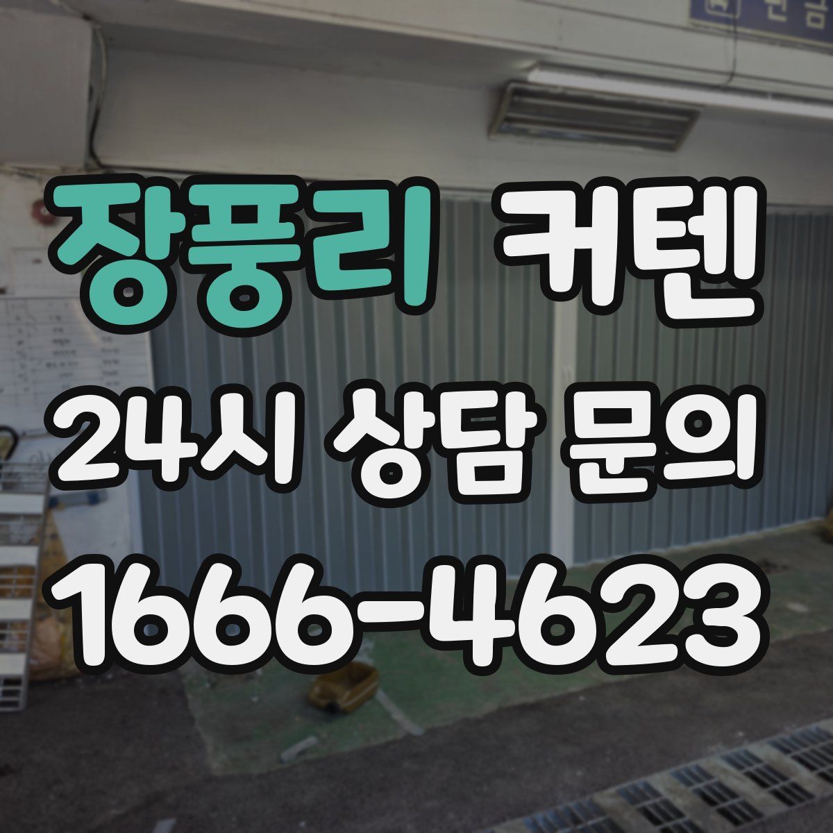 장풍리 커텐