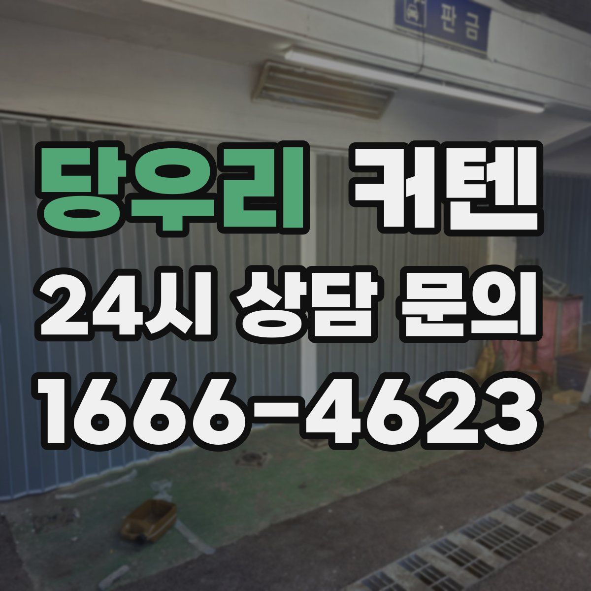 당우리 커텐