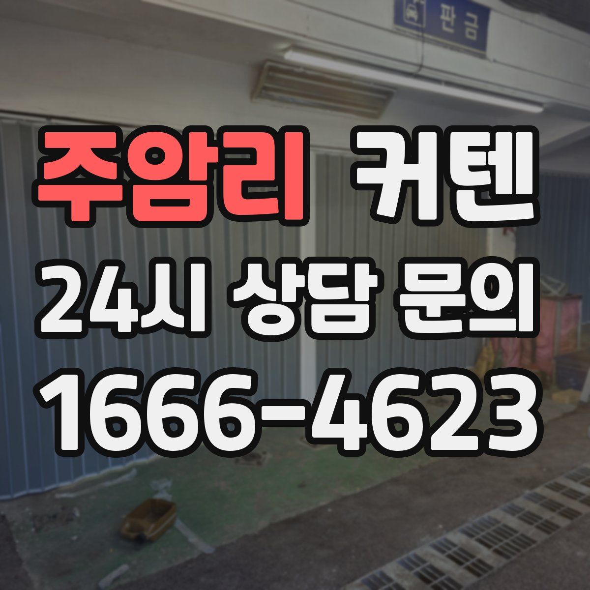 주암리 커텐