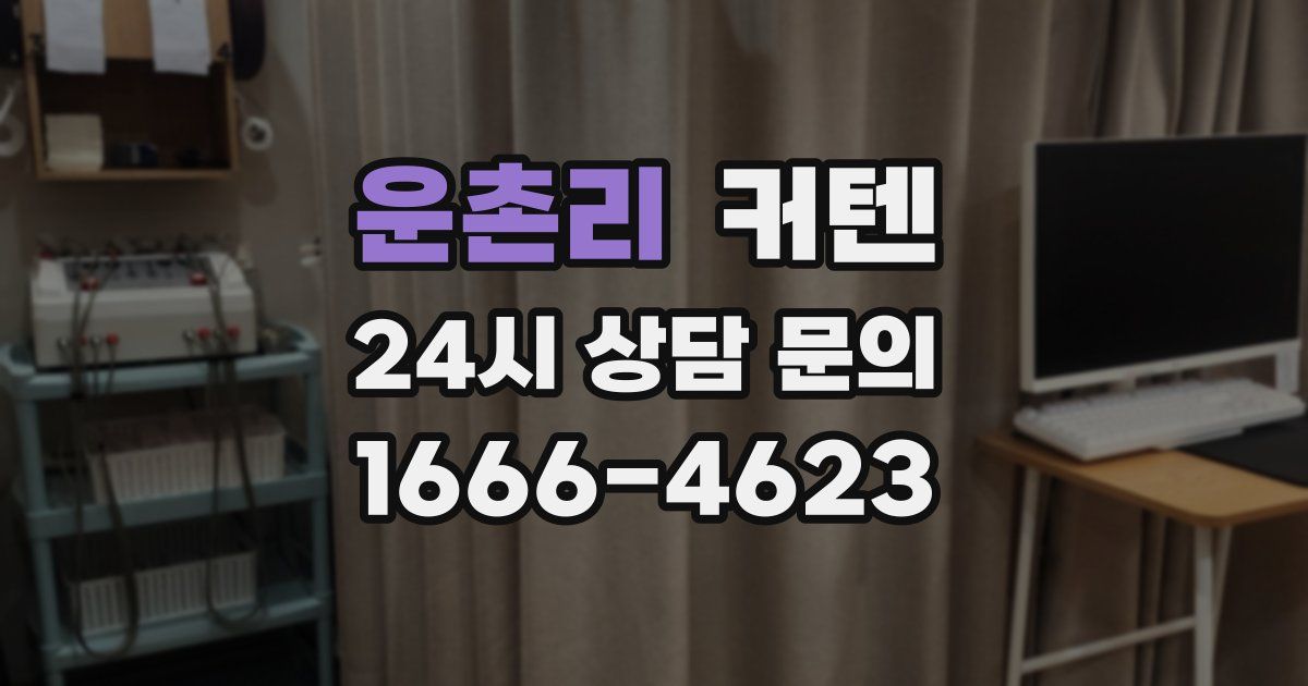 운촌리 커텐