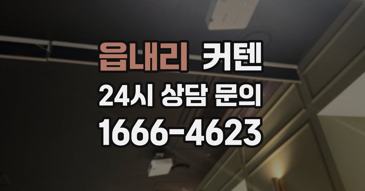 읍내리 커텐