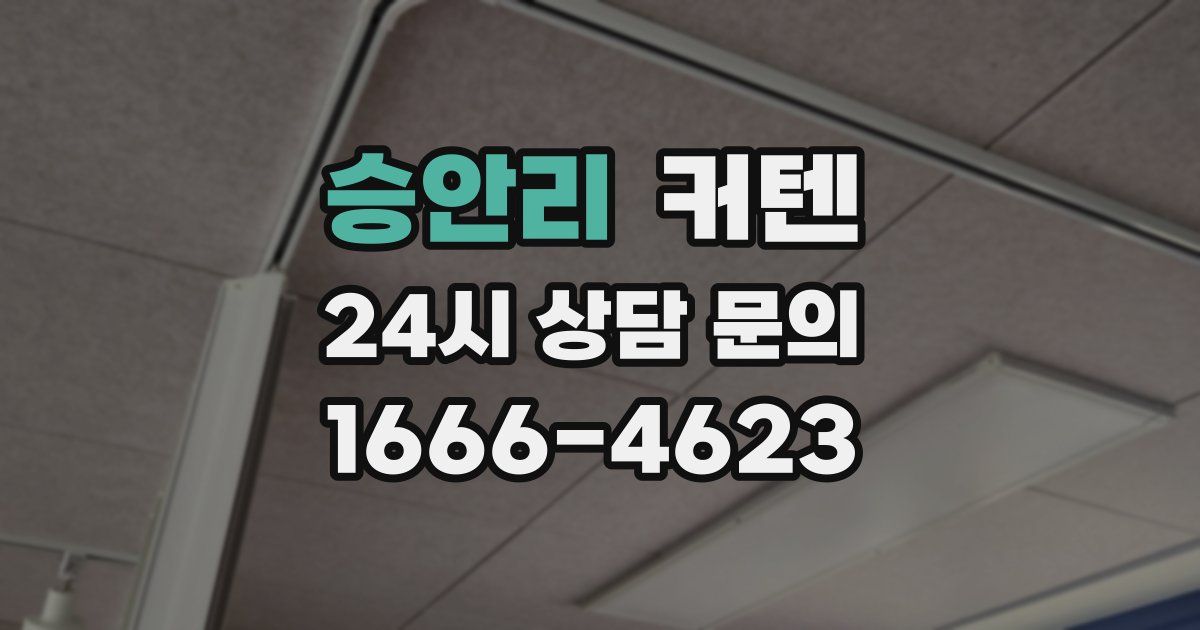 승안리 커텐