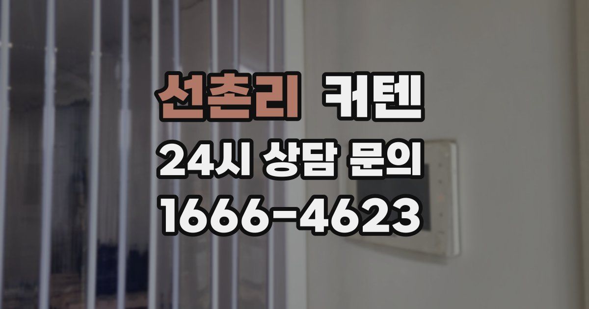 선촌리 커텐