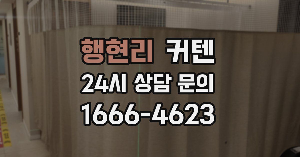 행현리 커텐