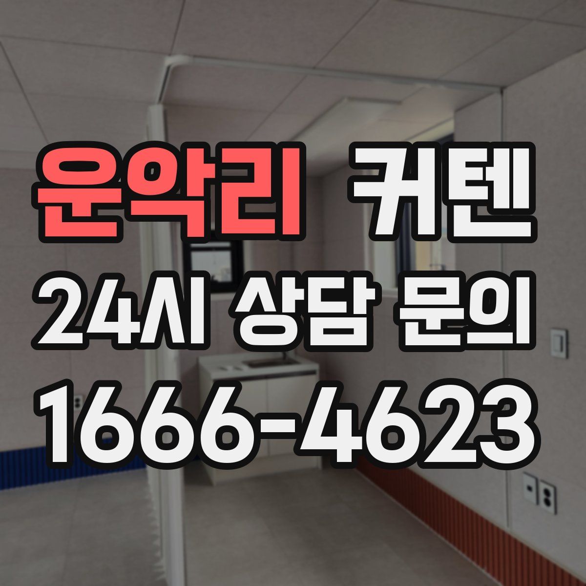 운악리 커텐