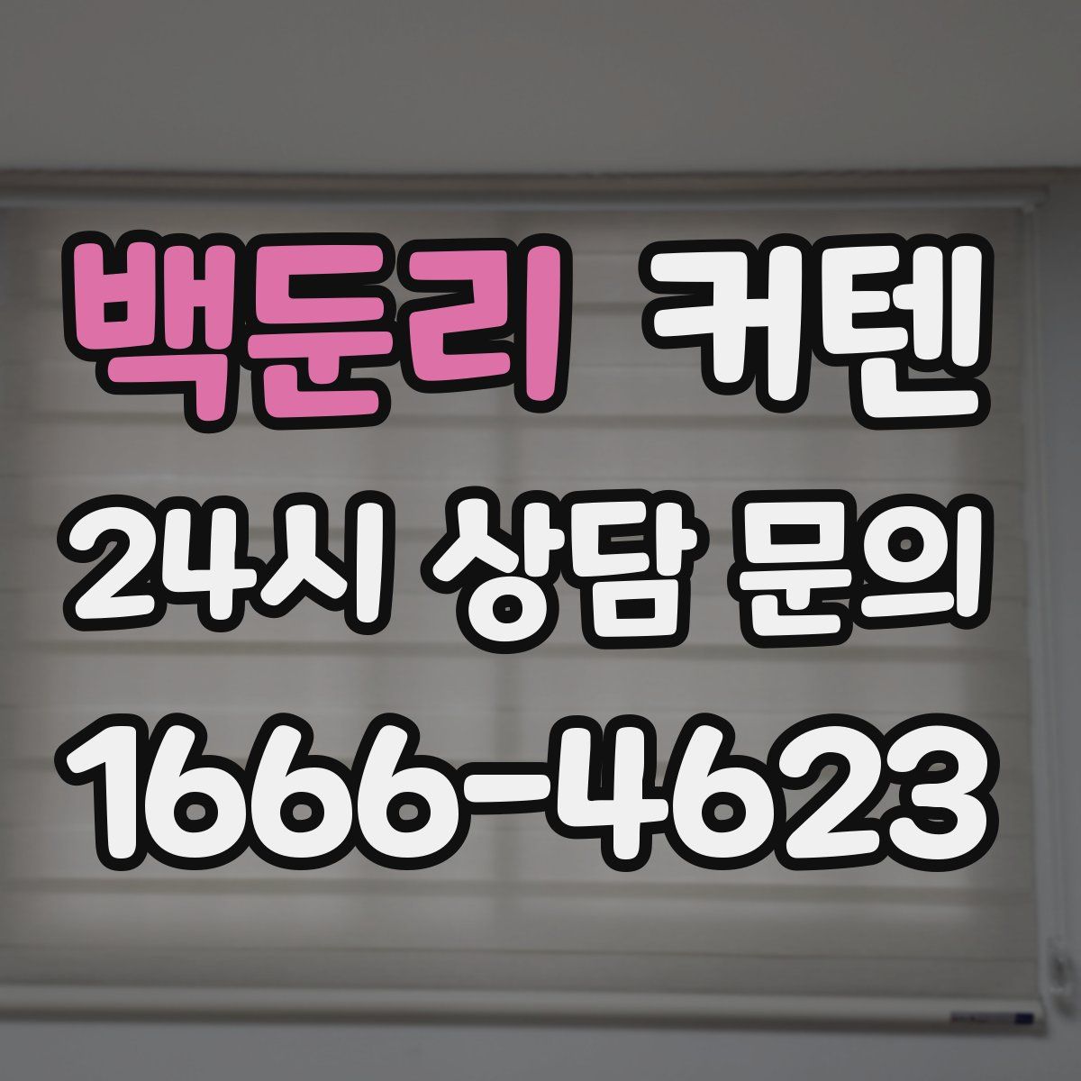백둔리 커텐