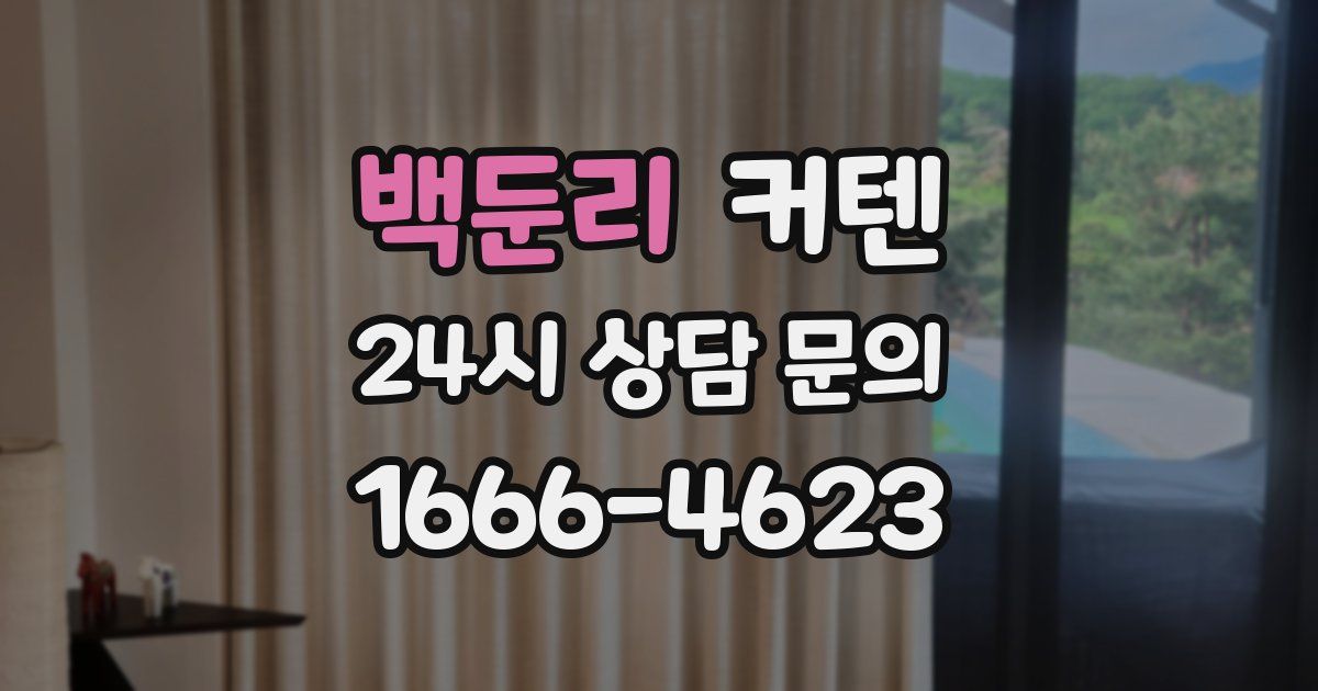 백둔리 커텐
