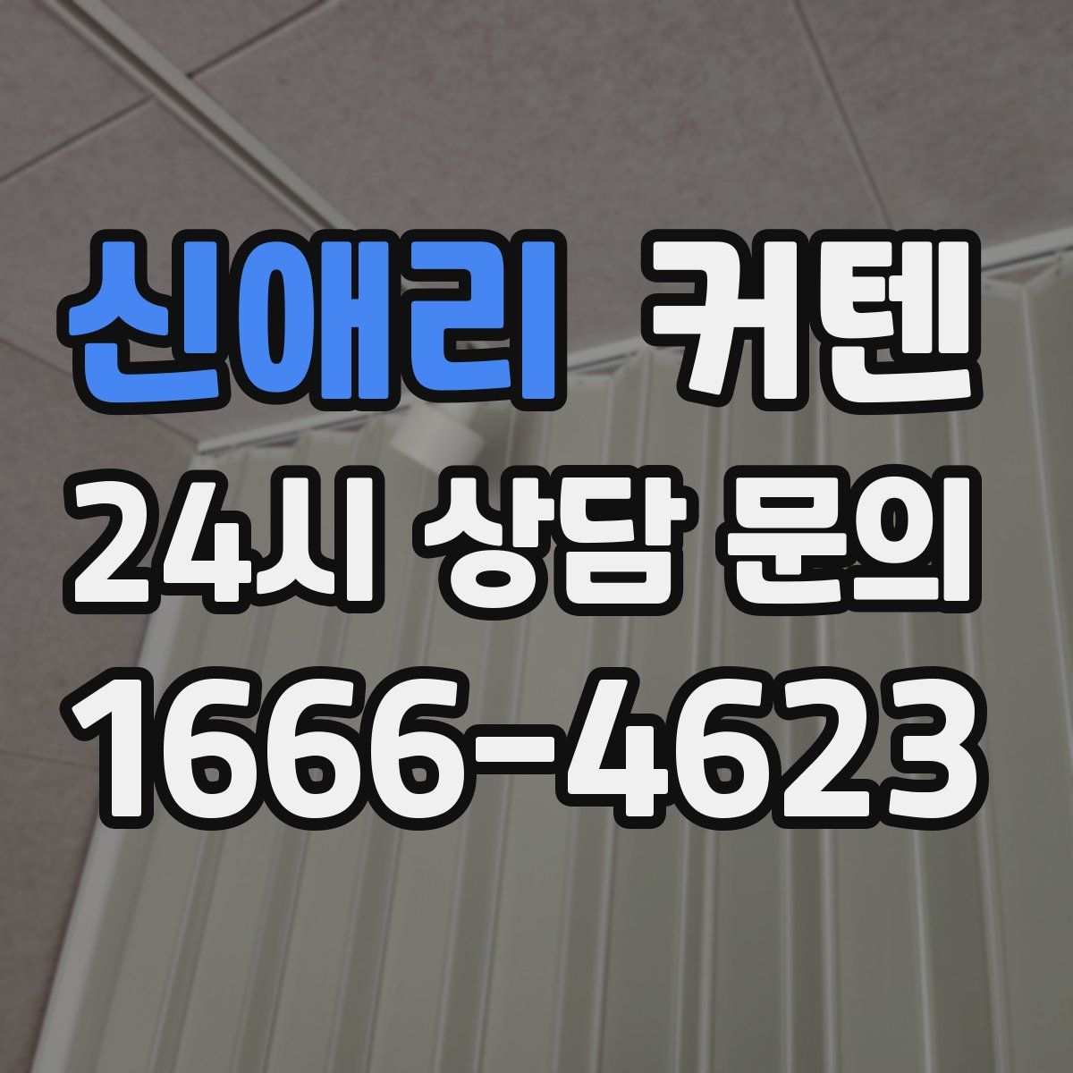 신애리 커텐