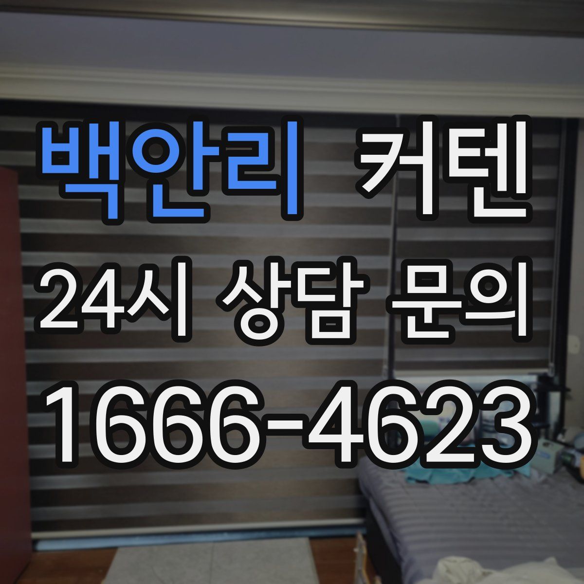 백안리 커텐