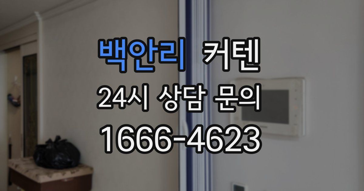 백안리 커텐