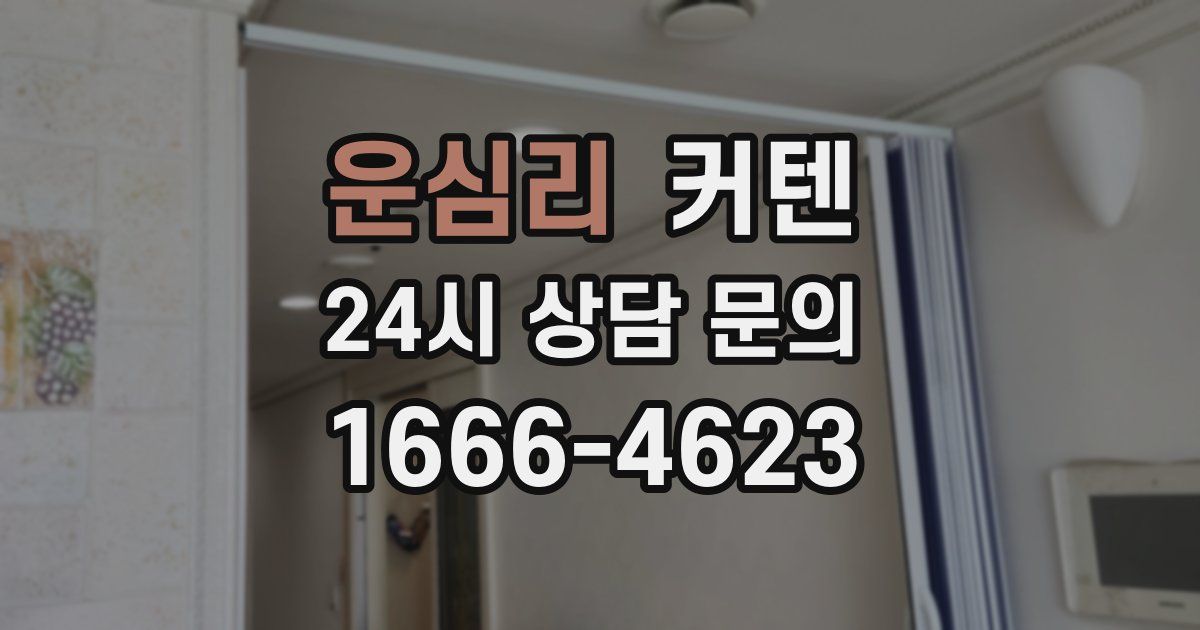 운심리 커텐