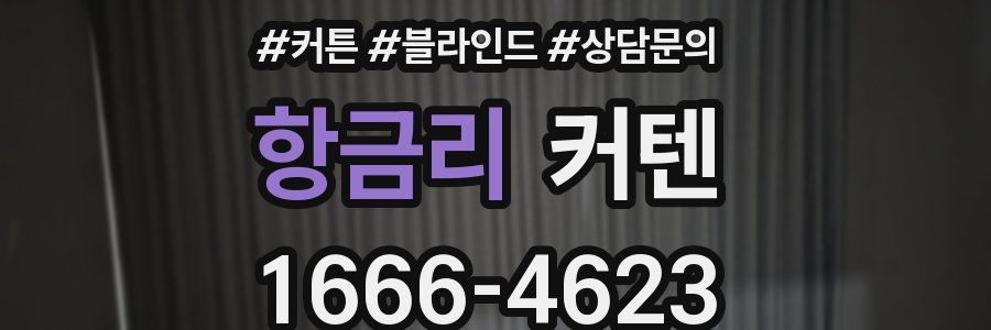 항금리 커텐