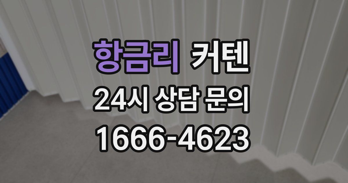 항금리 커텐