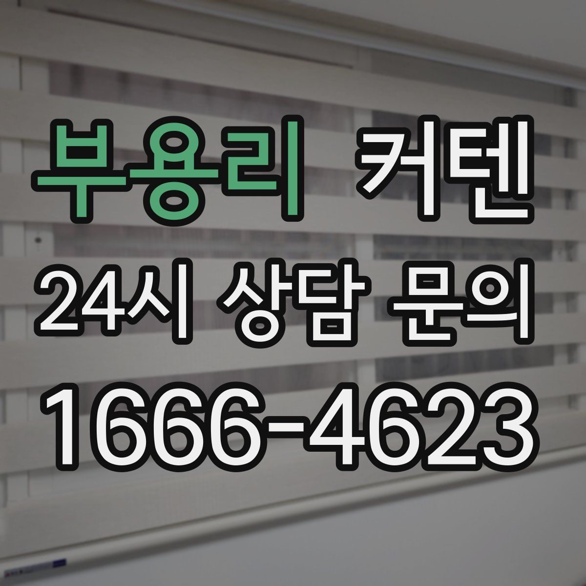 부용리 커텐