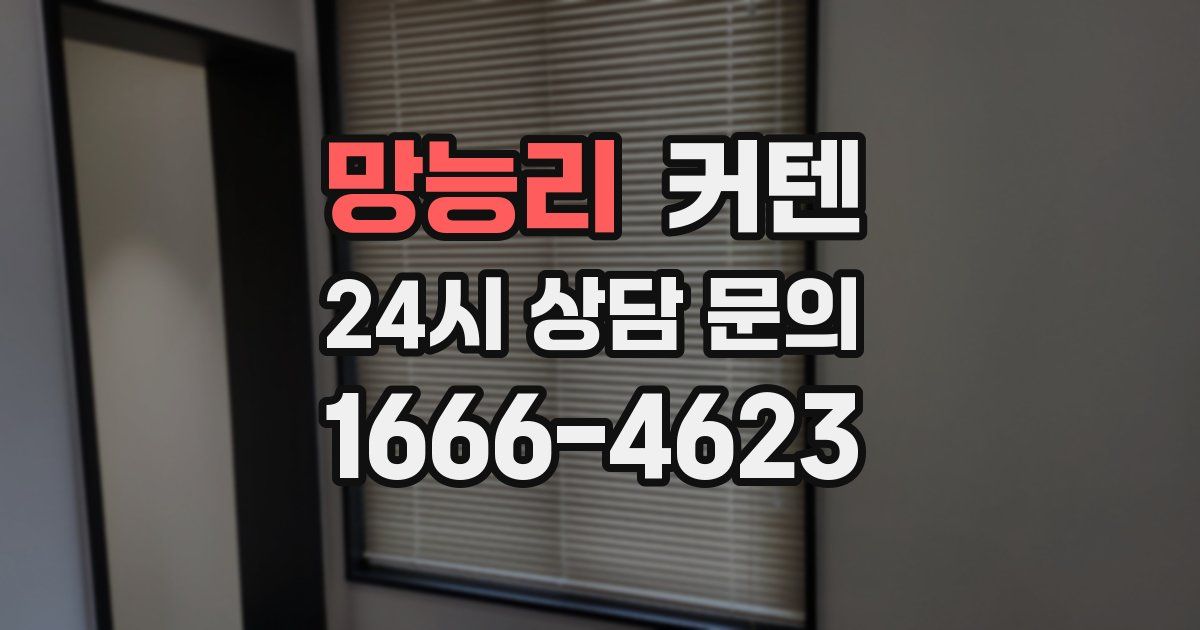 망능리 커텐