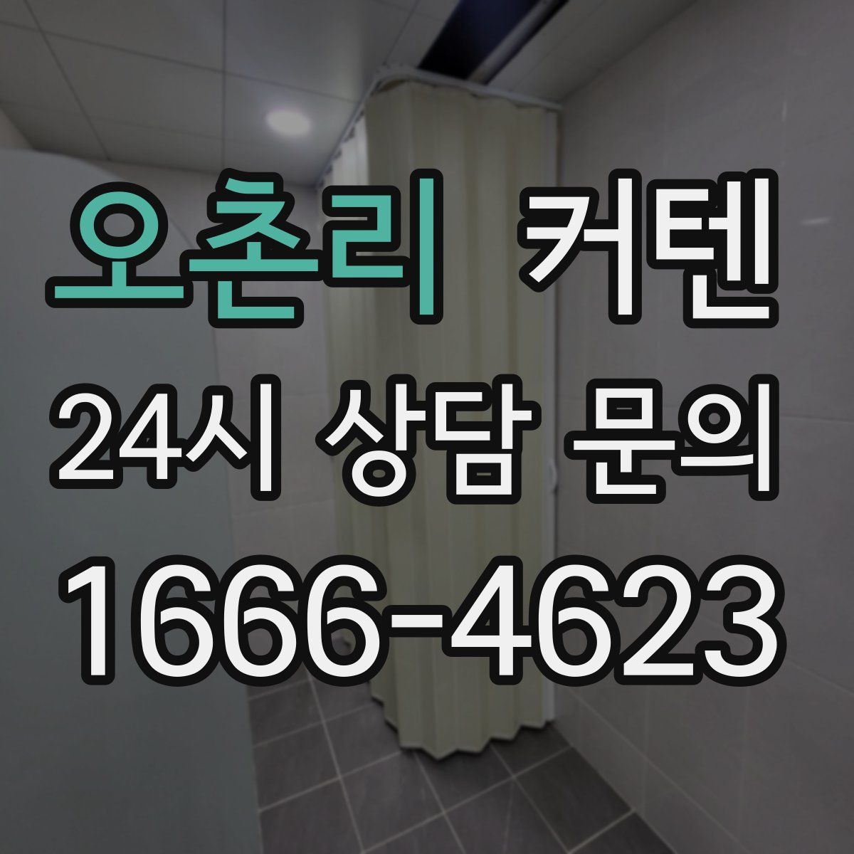 오촌리 커텐