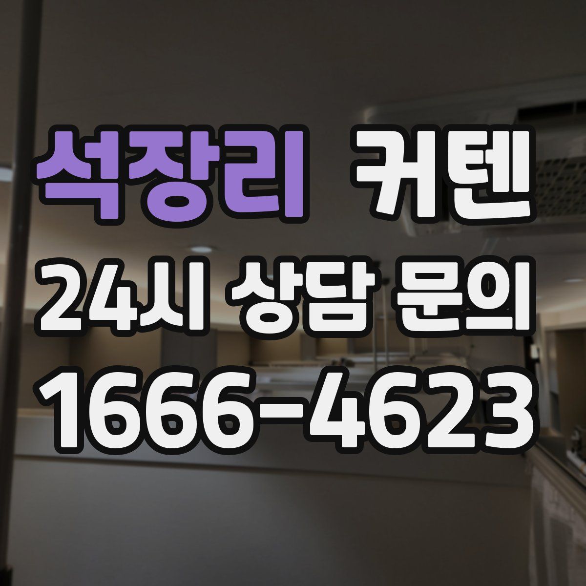 석장리 커텐