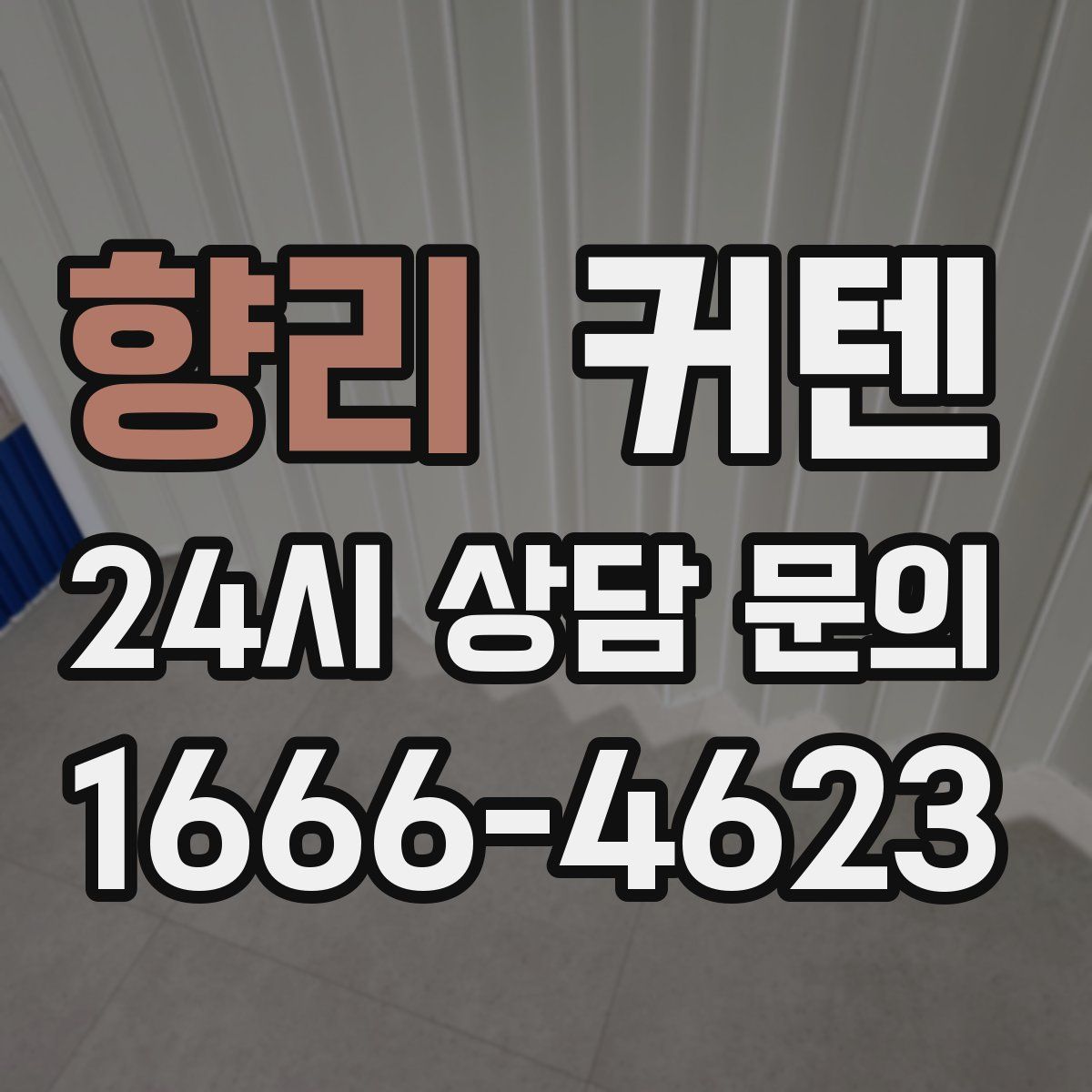 향리 커텐