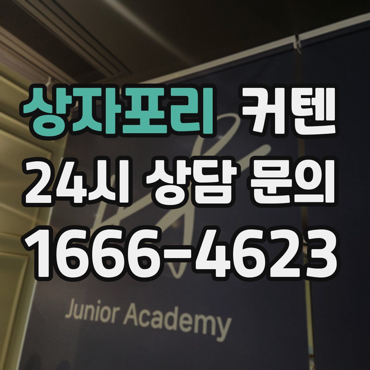 상자포리 커텐
