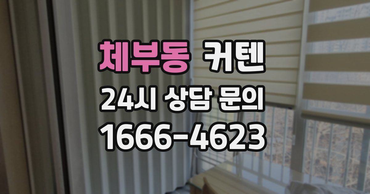 체부동 커텐