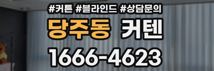 당주동 커텐