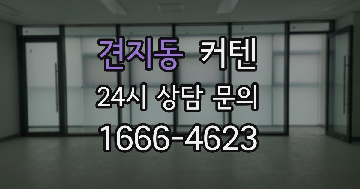 견지동 커텐