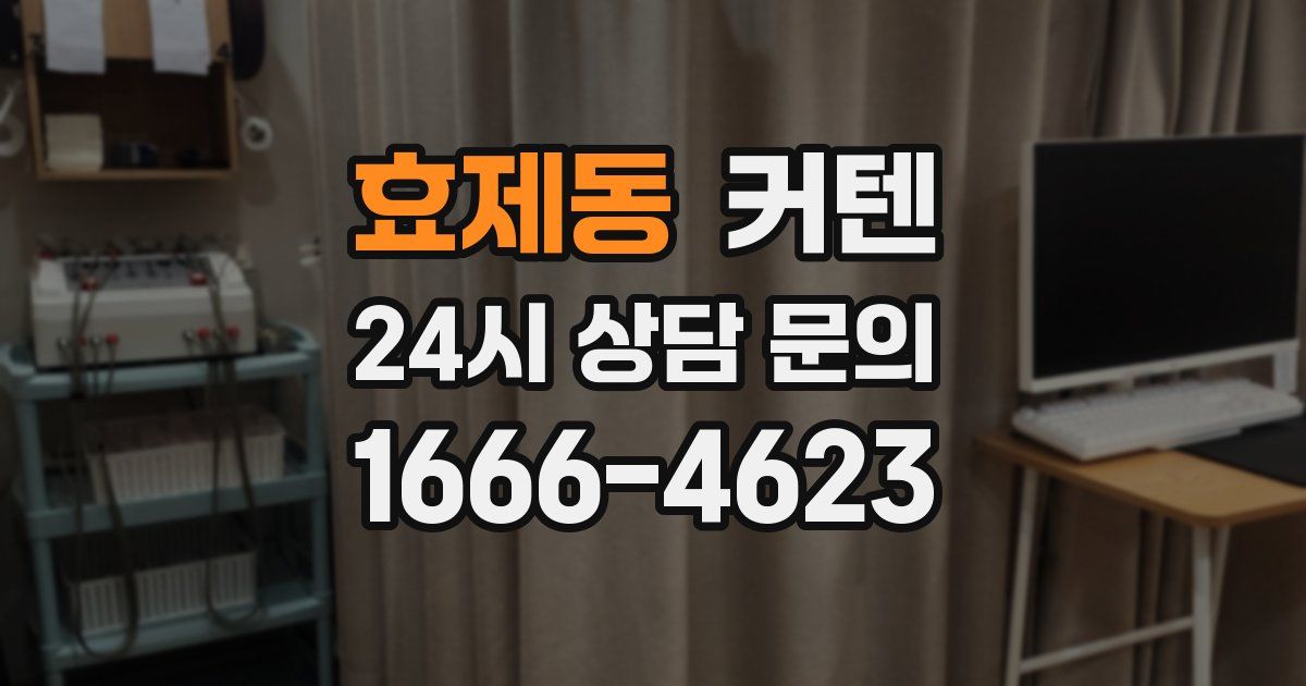 효제동 커텐