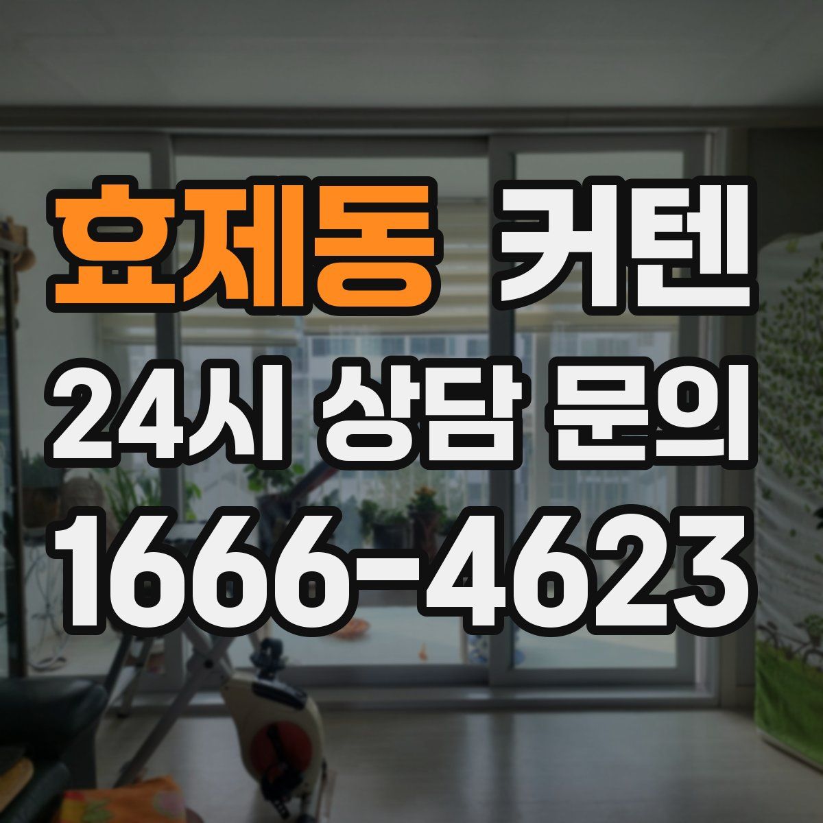 효제동 커텐