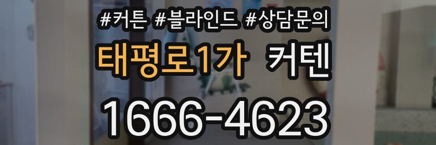 태평로1가 커텐
