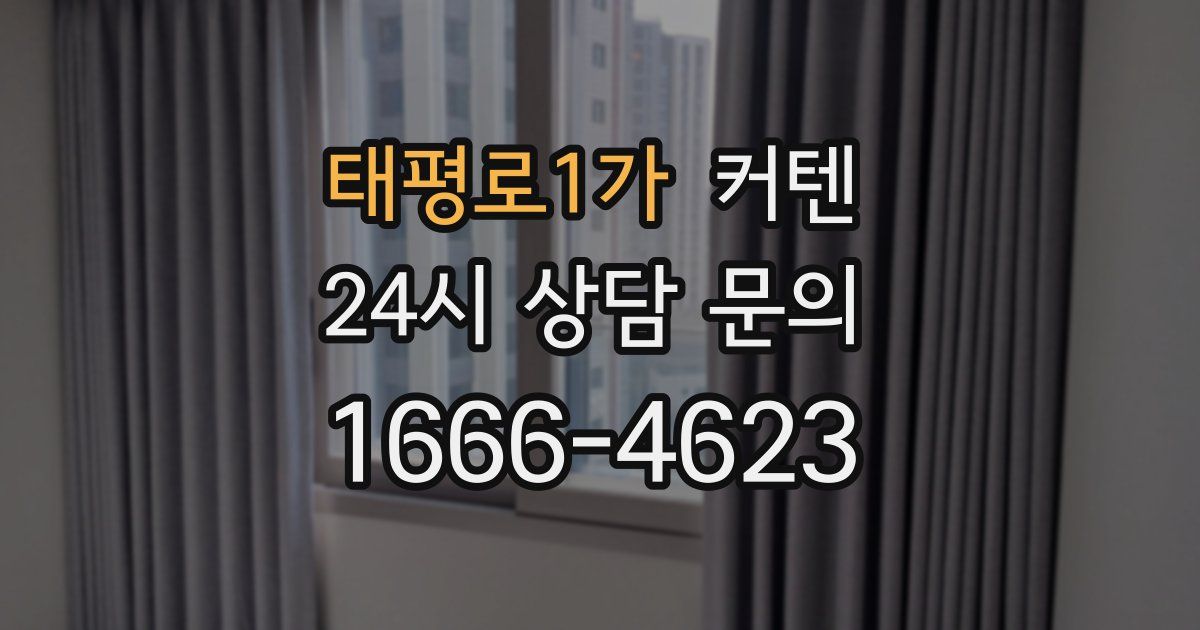 태평로1가 커텐