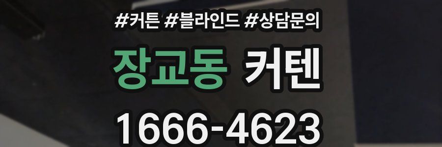장교동 커텐