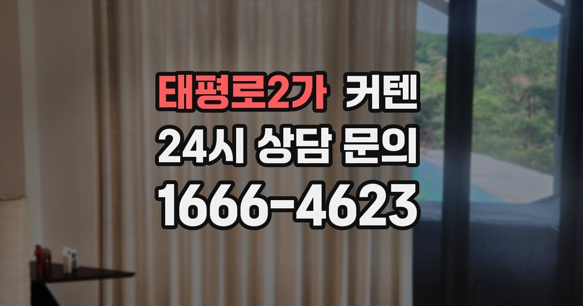 태평로2가 커텐