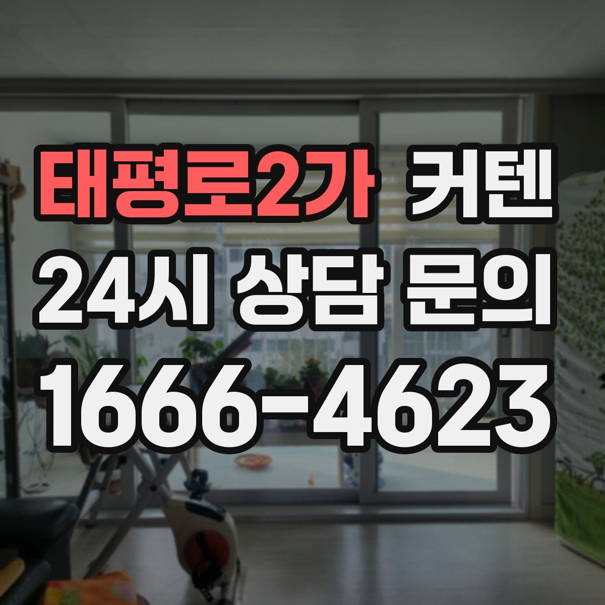 태평로2가 커텐