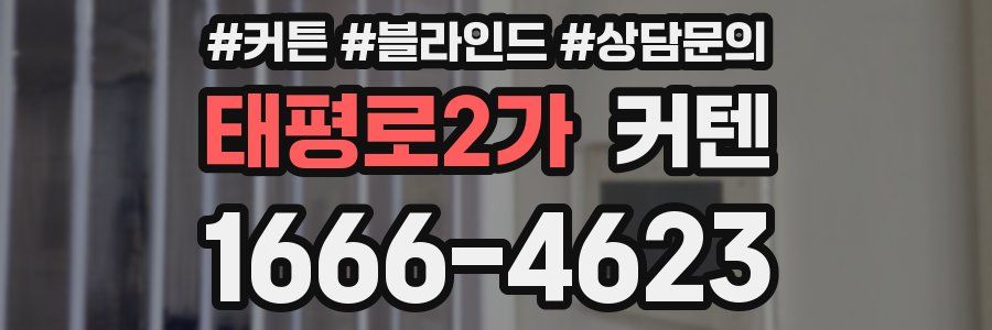태평로2가 커텐