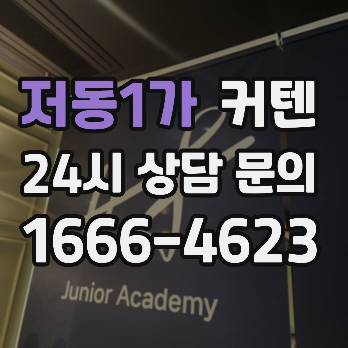 저동1가 커텐