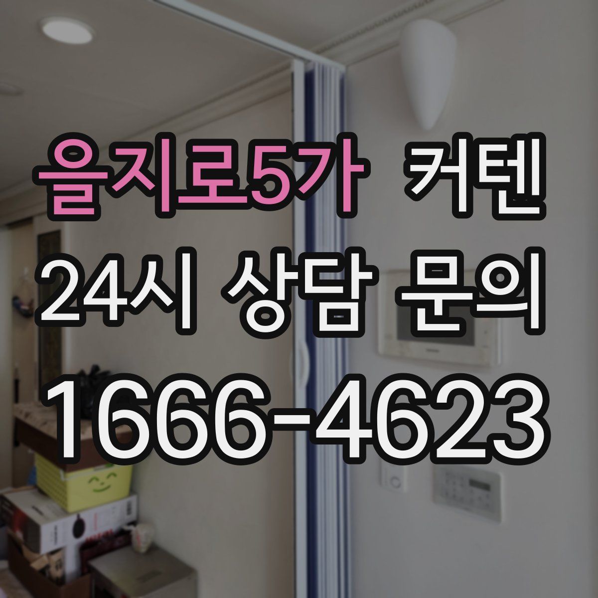을지로5가 커텐