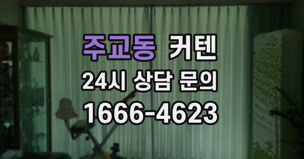 주교동 커텐