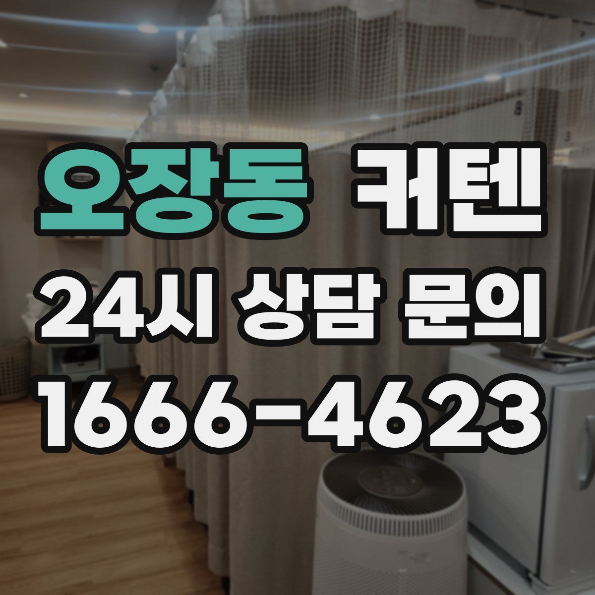 오장동 커텐