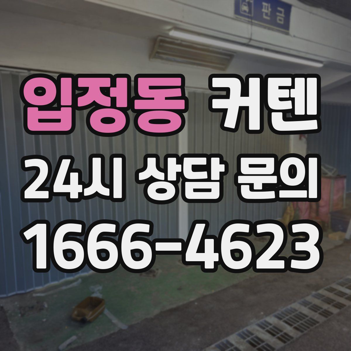입정동 커텐